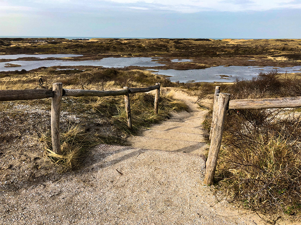 De natuur in de Kennemerduinen