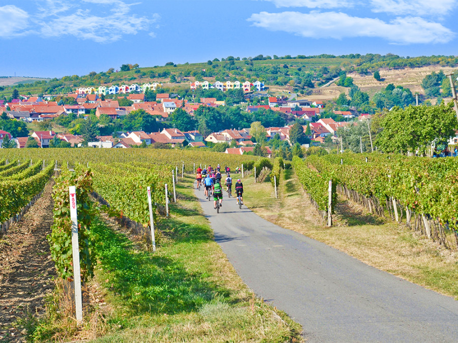 Fietsen in Zuid-Moravie