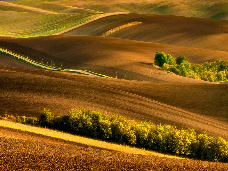 Moravisch toscane