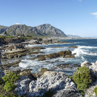 Afbeelding voor Fernkloof Nature Reserve