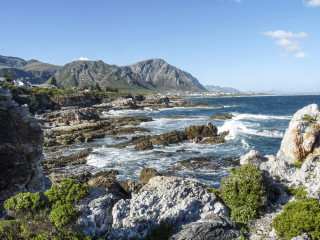 Afbeelding voor Fernkloof Nature Reserve