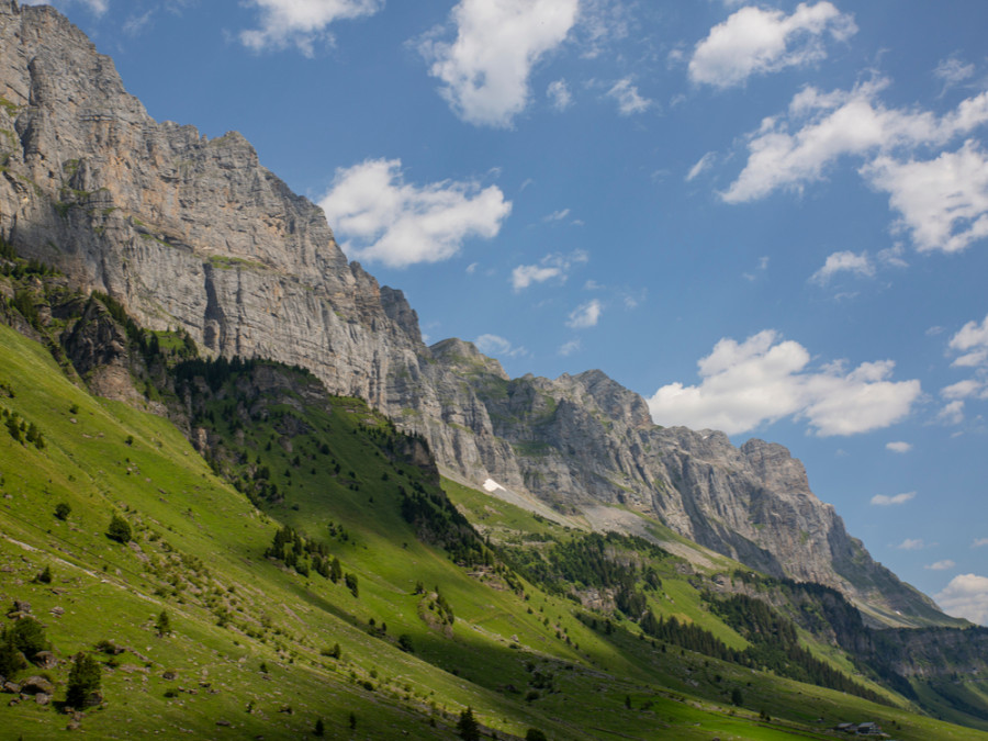 Natuur in Uri