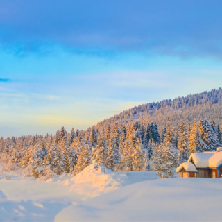 Afbeelding voor Zweeds Lapland