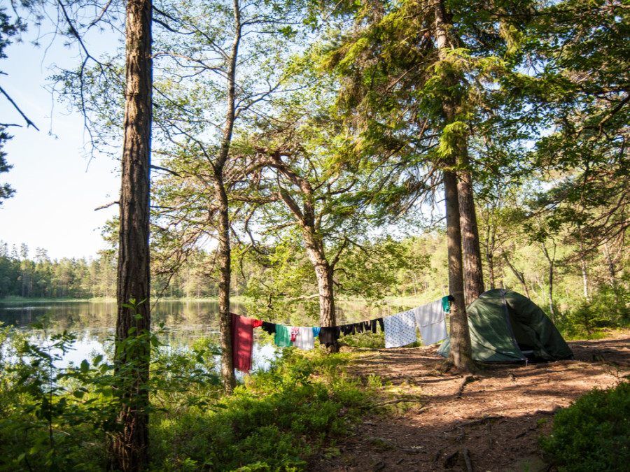 Wildkamperen Zweden