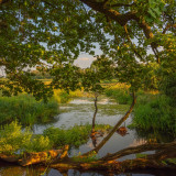 Afbeelding voor Biosfeerreservaat Midden-Elbe